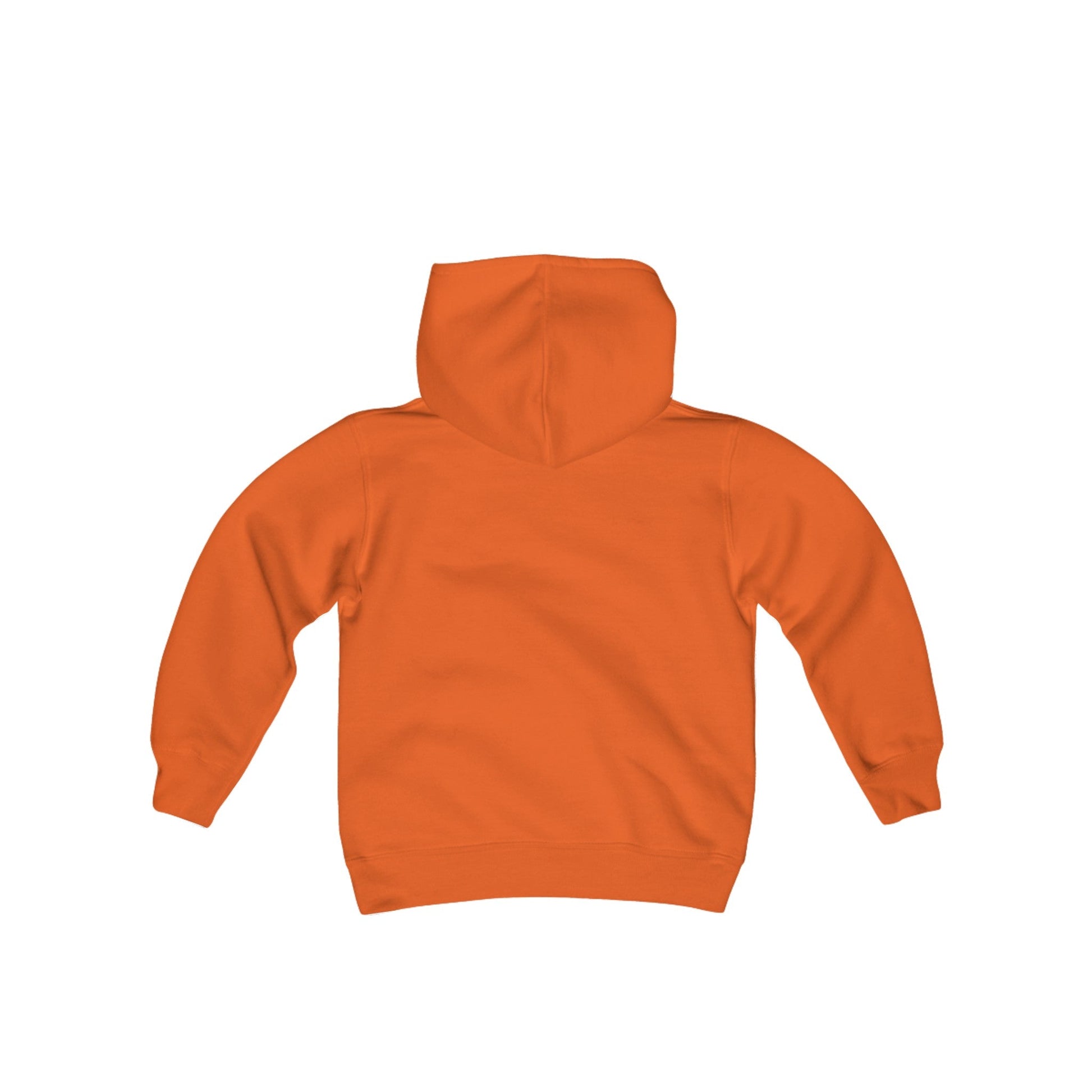 Cat Youth Heavy Blend Hooded Sweatshirt - Creative Designs by Shanny