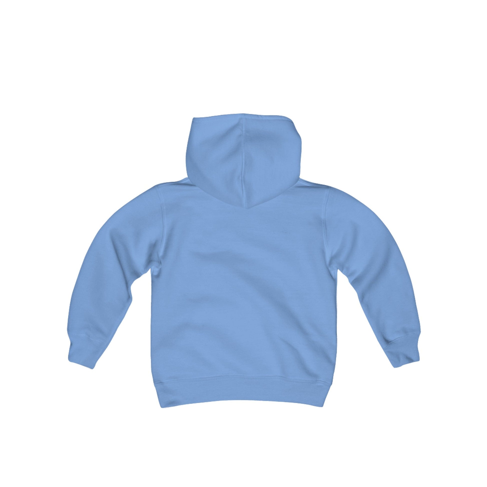 Cat Youth Heavy Blend Hooded Sweatshirt - Creative Designs by Shanny